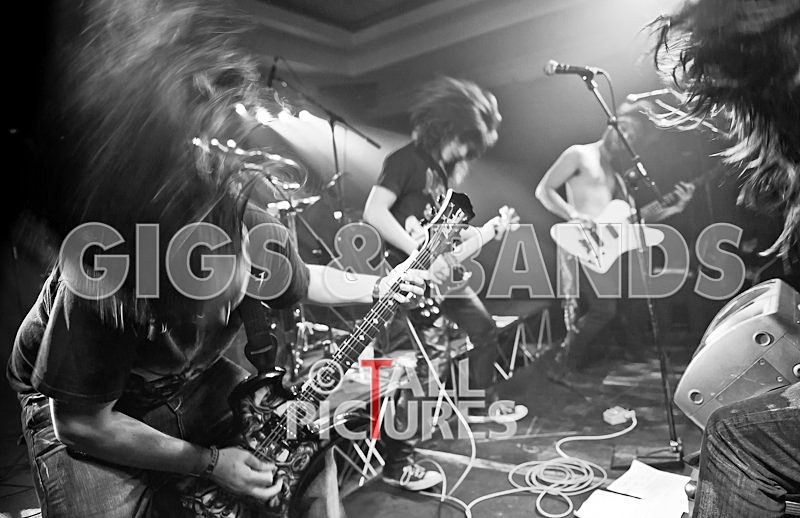 Salems Lot-74 - SALEM'S LOT at RoA-9