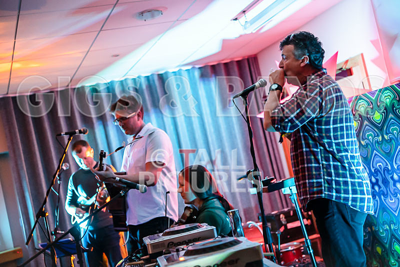 Seigneur Hedge Veg-21 - THE PEACE TENT STAGE