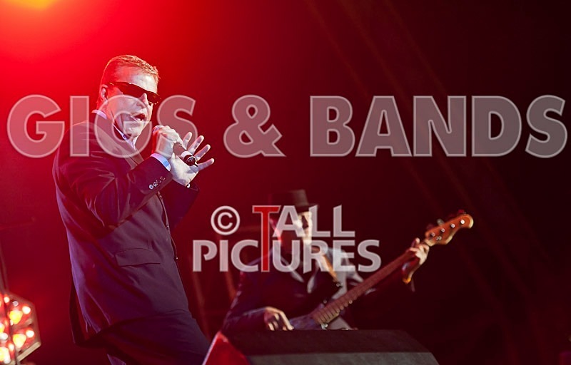 Madness-15 - MADNESS