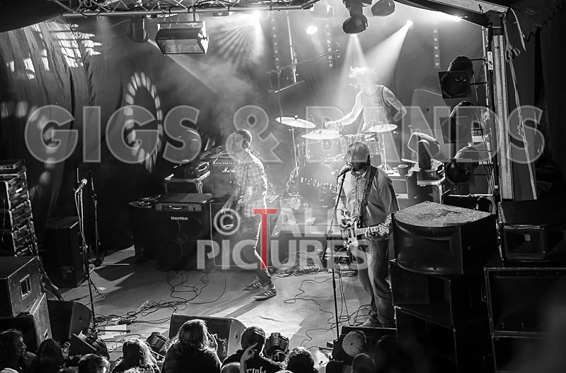 To the Woods-183 - TO THE WOODS