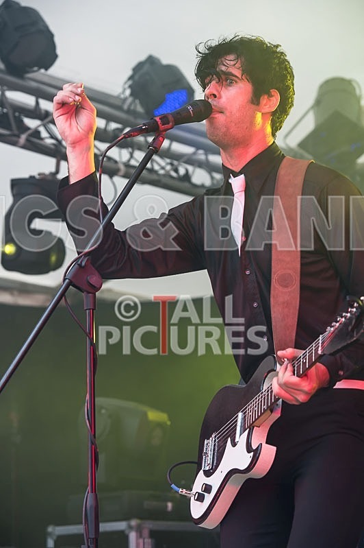 Surfin Birds-11 - THE SURFIN' BIRDS