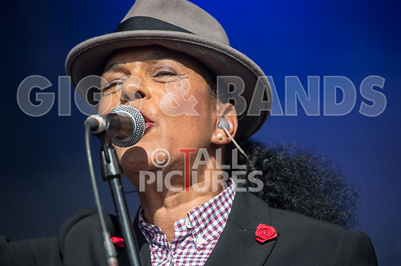 The Selecter-28 - THE SELECTER