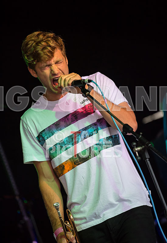 Lizzard Channel-38 - LIZZARD CHANNEL