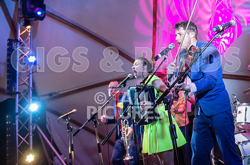 Molotov Jukebox-23 - MOLOTOV JUKEBOX