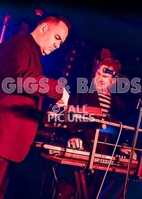 The Pulse-21 - THE PULSE