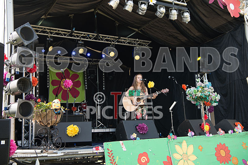 SoPM Vale Earth Fair-9 - SoPM on the VIEWALALU STAGE