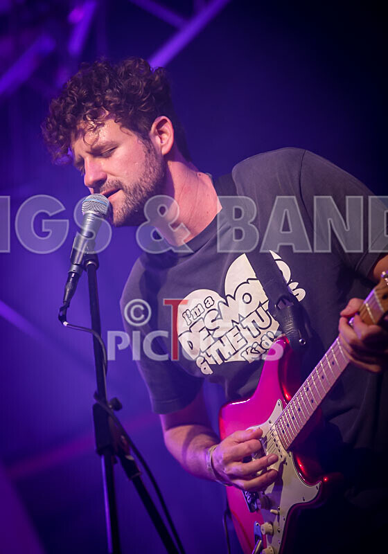 The Tarantulips-22 - THE TARANTULIPS