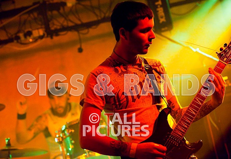 Brutus Stonefist-105 - BRUTUS STONEFIST at RoA-5