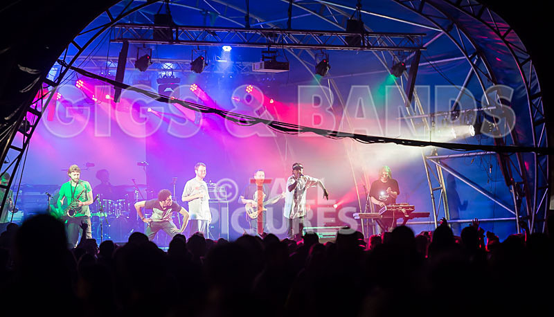 The Mouse Outfit-30 - THE MOUSE OUTFIT