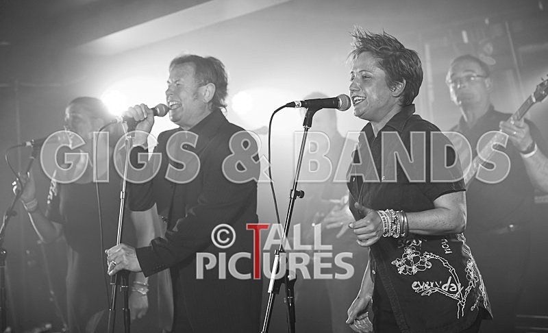 King Rat and the Soul Cats-112 - KING RAT & THE SOUL CATS