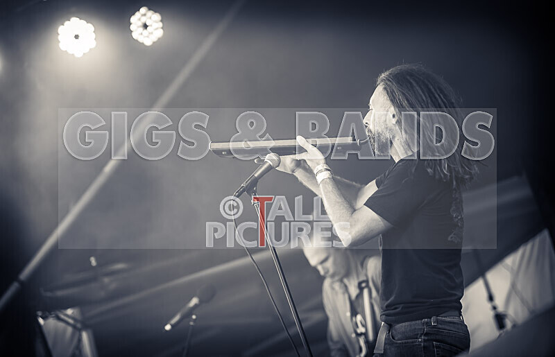 Benny the Moth-117 - BENNY THE MOTH