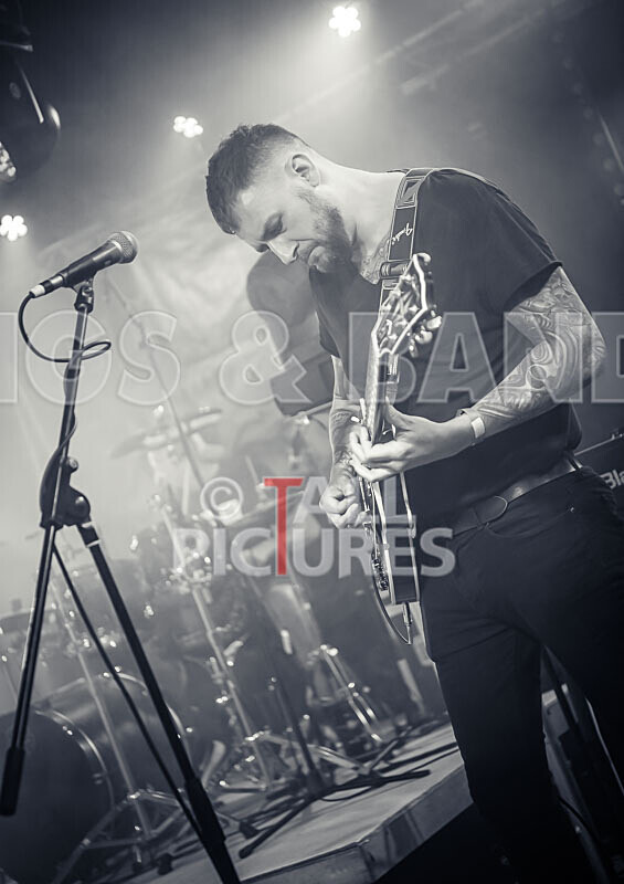 Foxy Stoat Seeks Pig-17 - FOXY STOAT SEEKS PIG