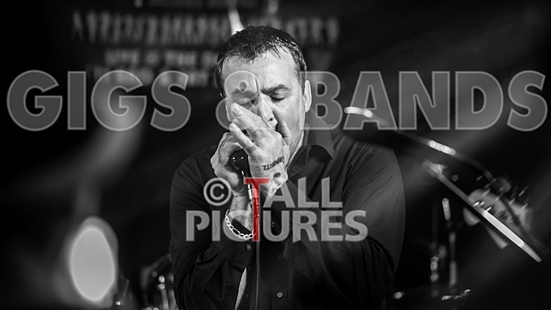 Hevvy Bevvy Blues Band-18 - HEVVY BEVVY BLUES BAND