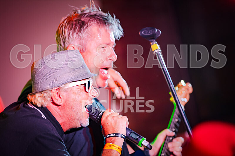 Sons of the Desert_Retro Festival_2020-402 - RETRO FESTIVAL 2020_SONS OF THE DESERT