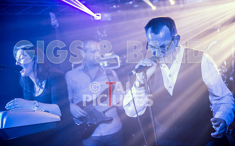 Elysium-304 - ELYSIUM