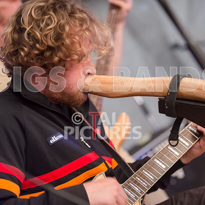 Buffalo Huddleston-231 - BUFFALO HUDDLESTON