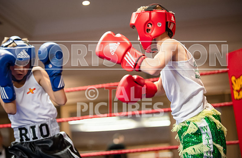 Sparring Bout-1_Arnie Watson v Rio Gaudion-17 - Sparring Bout-1_Arnie Watson v Rio Gaudion