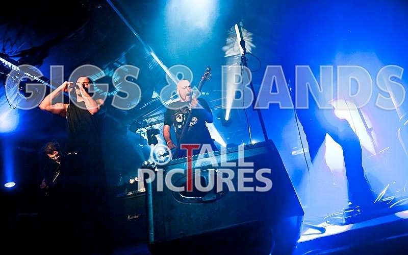 Breed77-26 - BREED77