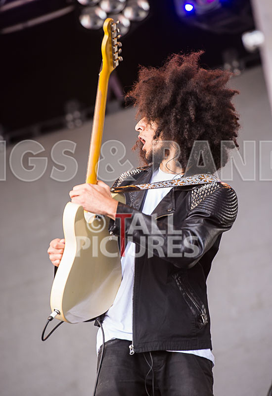 Diversity-40 - DIVERSITY