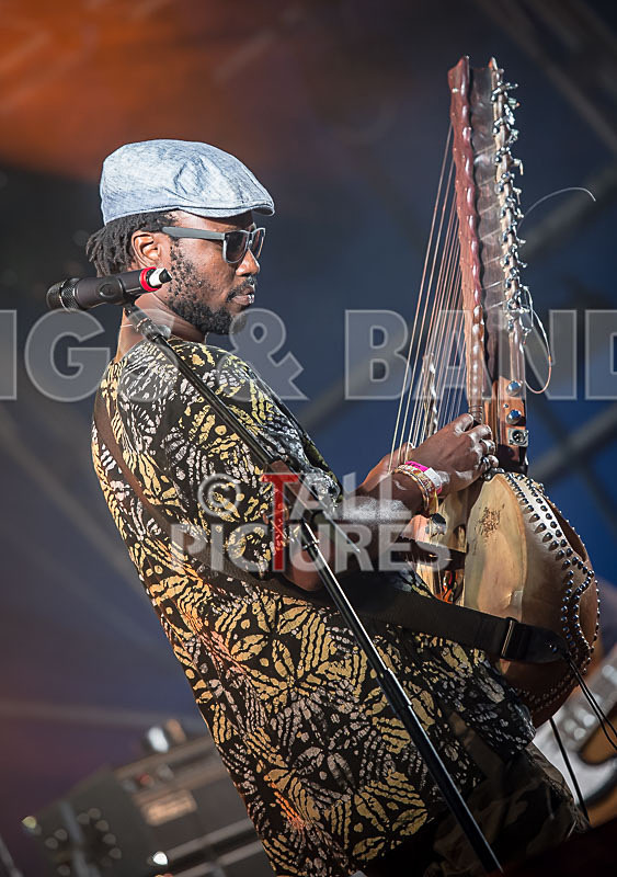 Joe Driscoll Sekou Kouyate-16 - JOE DRISCOLL & SEKOU KOUYATE