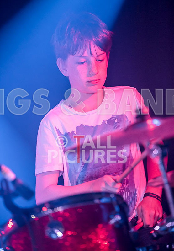 The Lemmings-6 - THE LEMMINGS