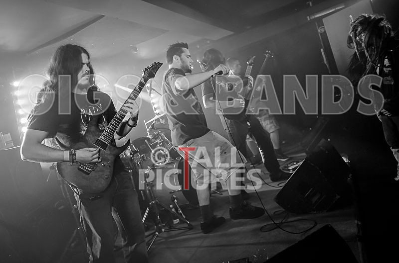 Masticated-35 - MASTICATED