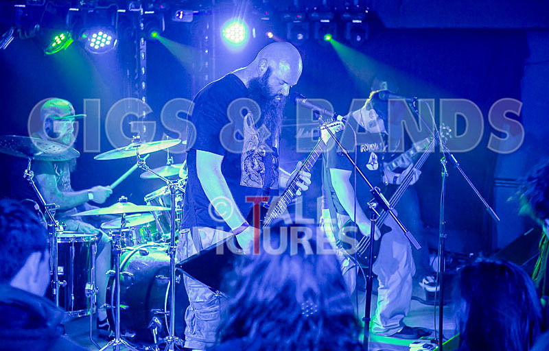 Byzanthian Neckbeard-91 - BYZANTHIAN NECKBEARD