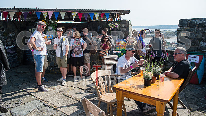 Vale Earth Fair 2017_SCENE-68 - VALE EARTH FAIR 2017_THE SCENE