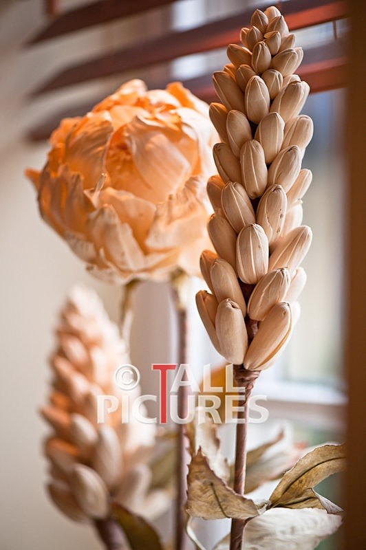 Duke of Normandie Hotel-119 - DUKE OF NORMANDIE HOTEL