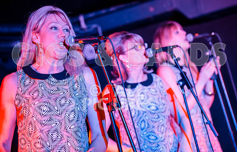 The Blondettes-1 - THE BLONDETTES