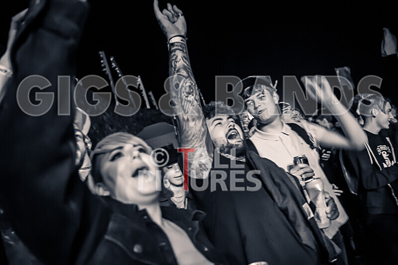 To the Woods-446 - TO THE WOODS