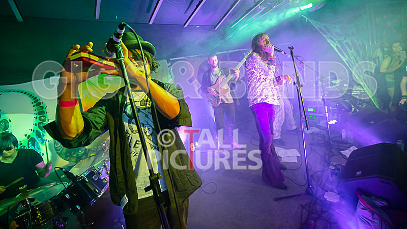 The Recks-806 - THE RECKS