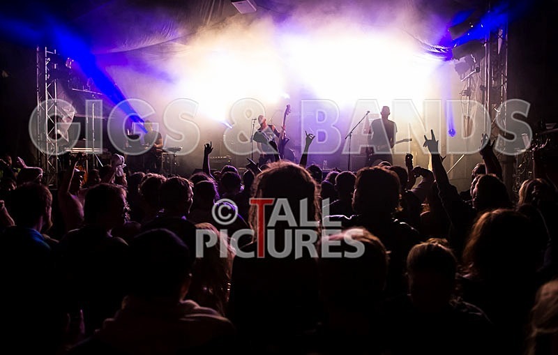 Subsource-37 - SUBSOURCE