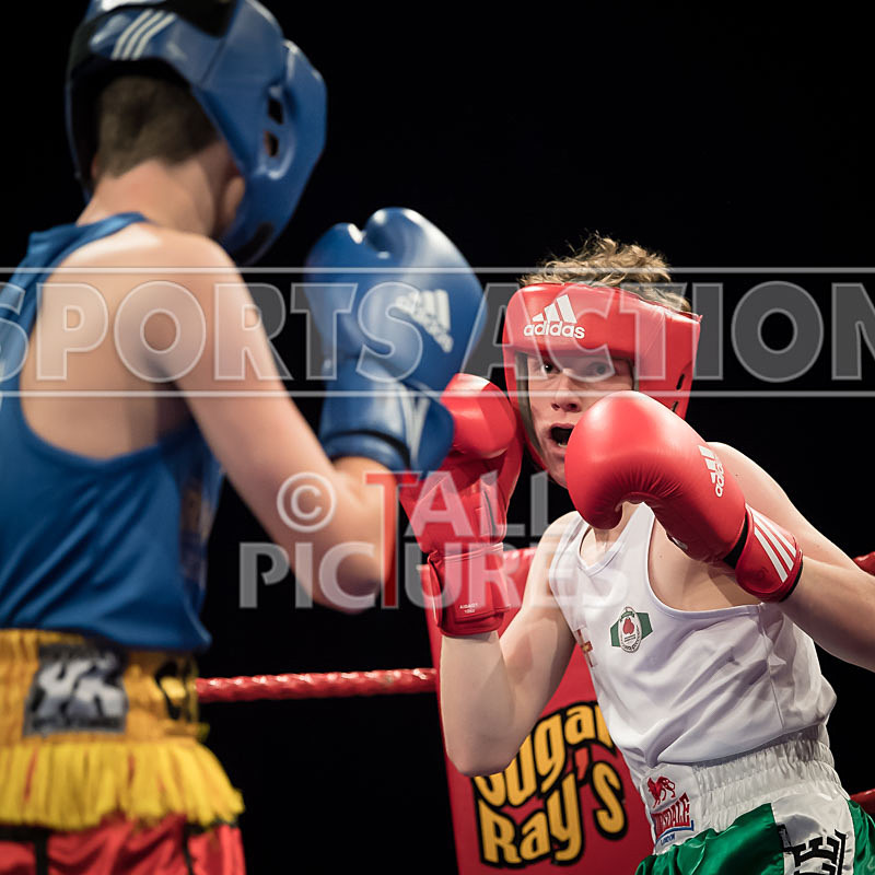BOUT-2 Rory Sullivan v Connor OSullivan-2 - BOUT-2 Rory Sullivan v Connor O'Sullivan