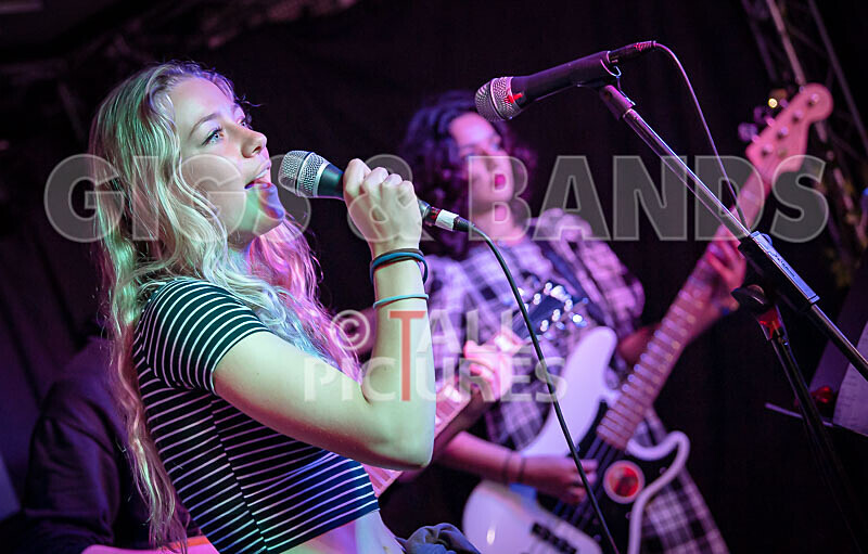 12 Gauge-101 - 12 GAUGE