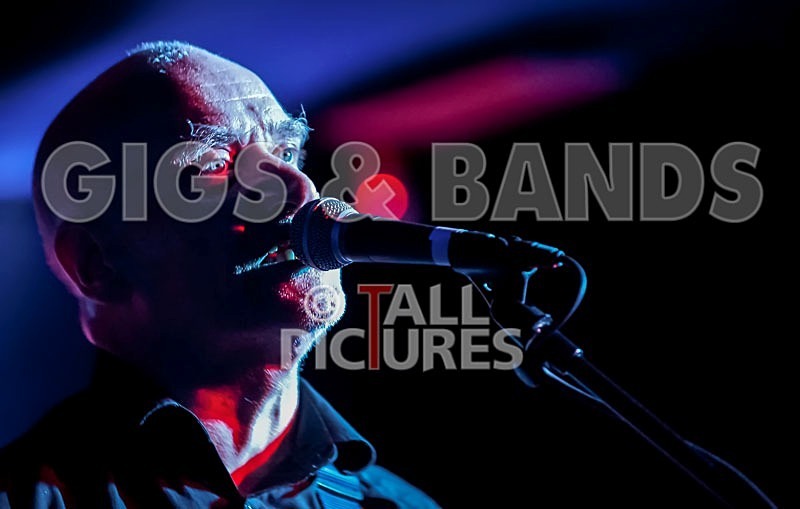 The Wilko Johnson Band-50 - THE WILKO JOHNSON BAND