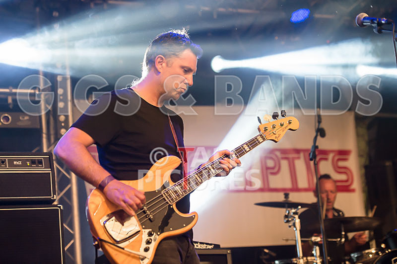 The Cryptics-87 - THE CRYPTICS