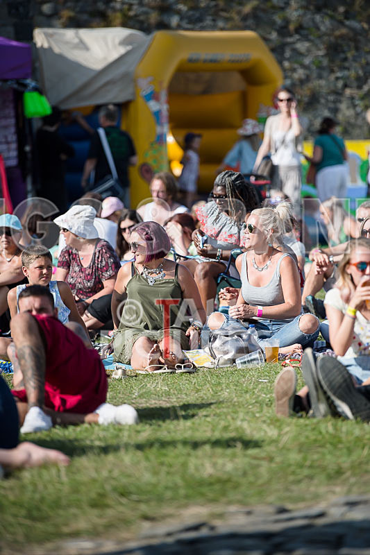 Vale Earth Fair 2017_SCENE-84 - VALE EARTH FAIR 2017_THE SCENE