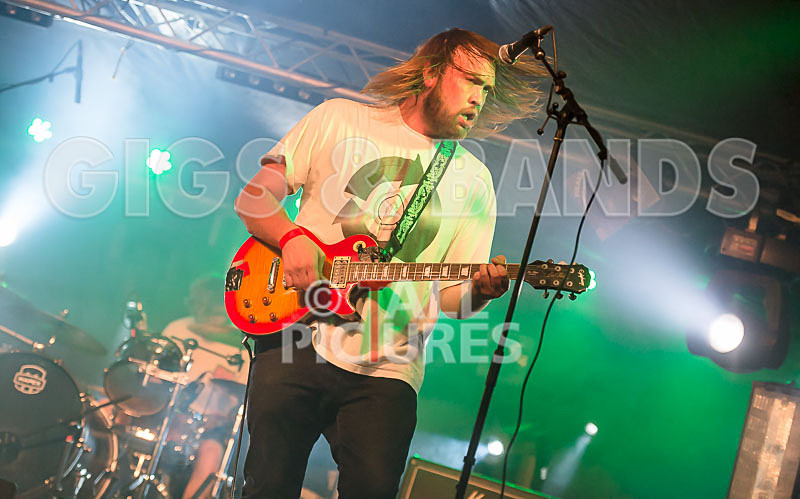 To the Woods-265 - TO THE WOODS