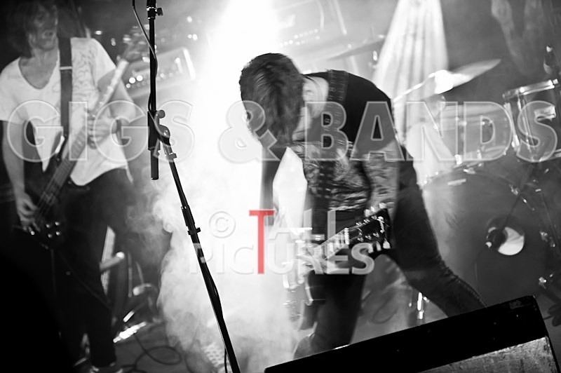 The Crave-21 - THE CRAVE