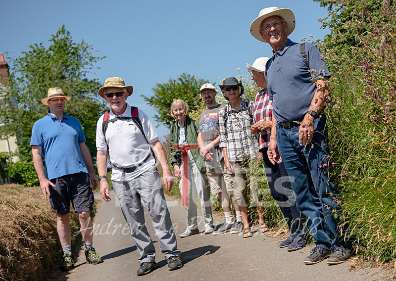 Living Streets walk_03-06-2018-1 - LIVING STREETS 2018