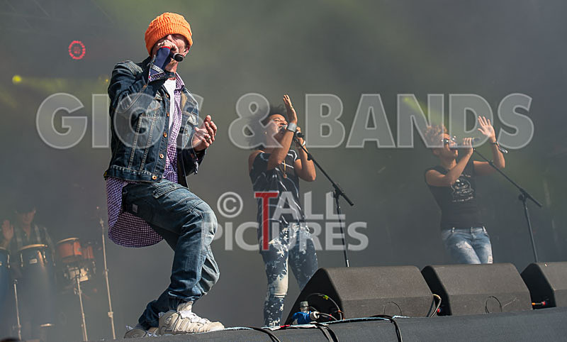 Stereo MCs-12 - STEREO MC's