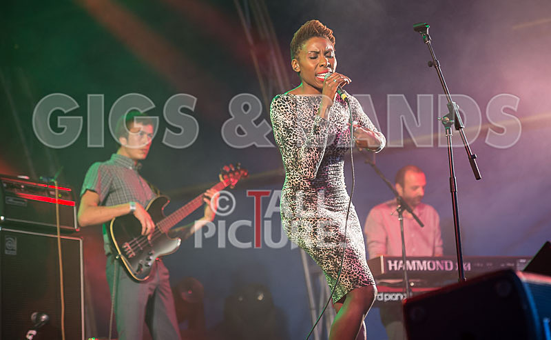 The Delegators-34 - THE DELEGATORS