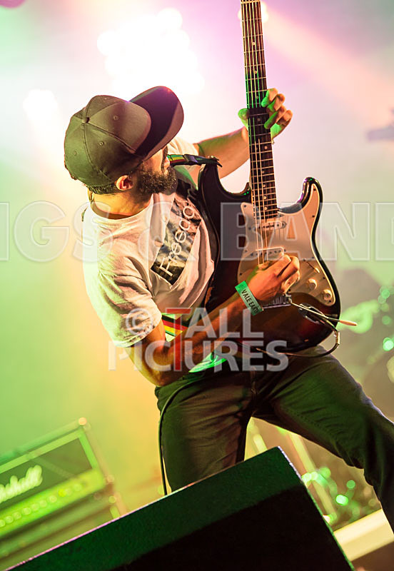 Static Alice-544 - STATIC ALICE