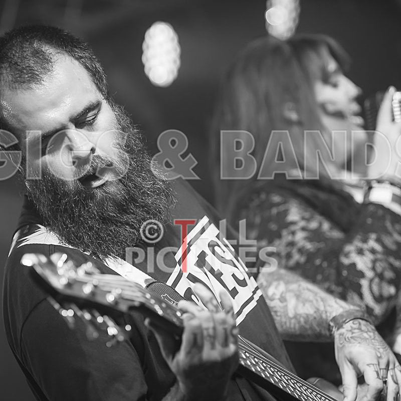 Static Alice-741 - STATIC ALICE