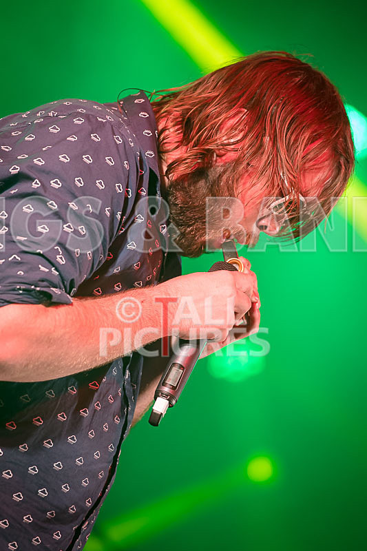 Honest Crooks-174 - HONEST CROOKS