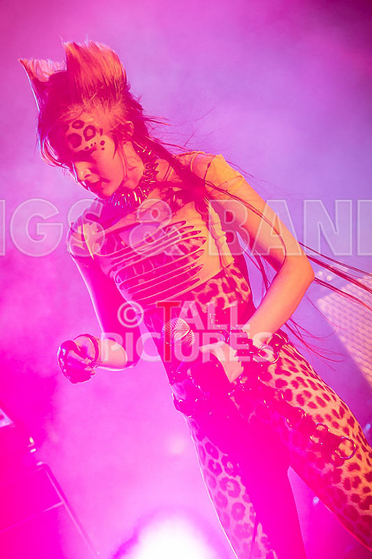 Pussycat and the Dirty Johnsons-69 - PUSSYCAT AND THE DIRTY JOHNSONS