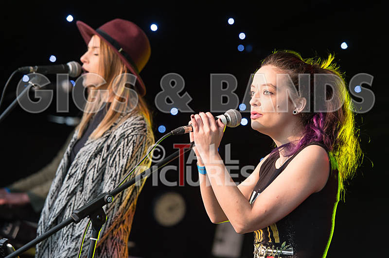 Element 6-3 - ELEMENT 6