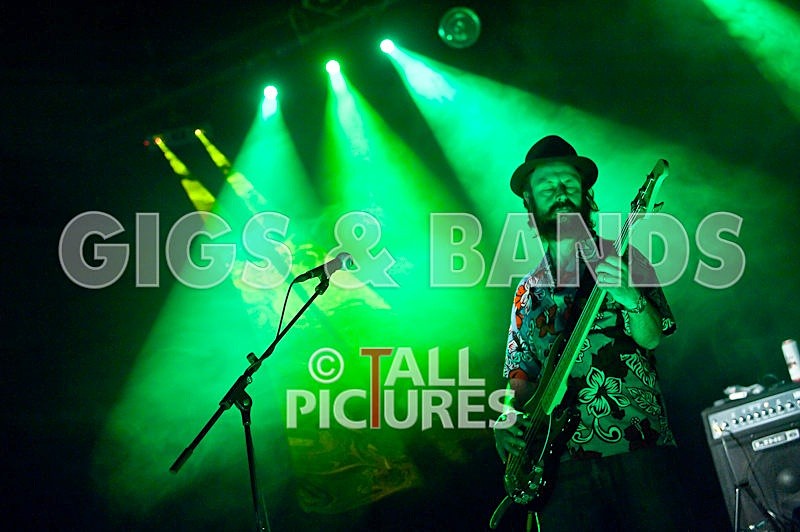 Peppered Ant Legs-26 - PEPPERED ANT LEGS at RoA-3