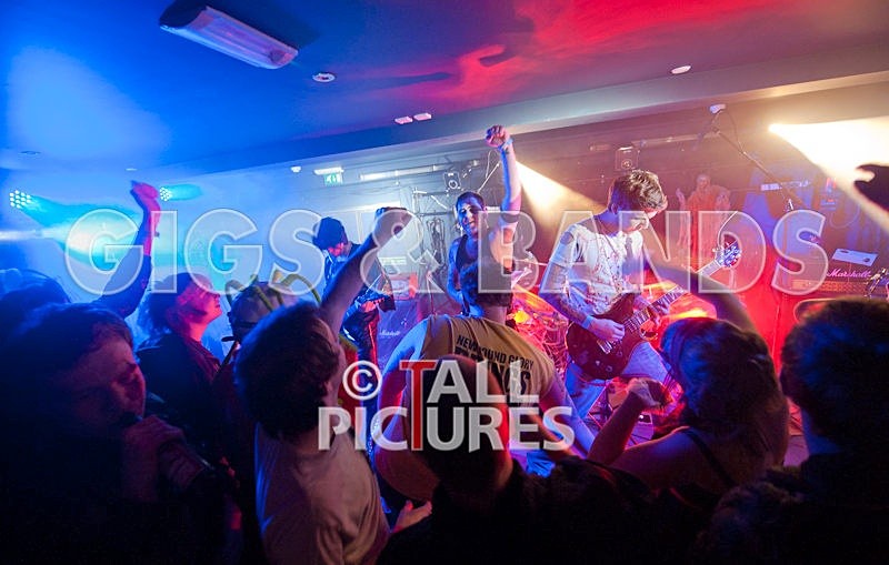 Brutus Stonefist-158 - BRUTUS STONEFIST